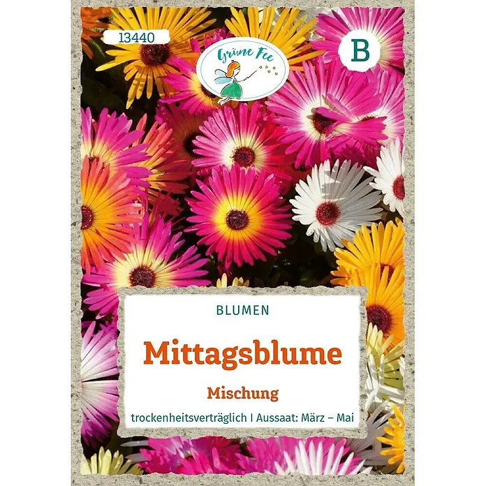 Grüne Fee Blumensamen Mittagsblume - Dorotheanthus bellidiformis (Burm. f.) N.E. Br., Mehrfarbig - Samentüte 'Mittagsblume Mischung' mit bunten Blüten (rosa, gelb, weiß), trockenheitsverträglich. Aussaat März-Mai.
