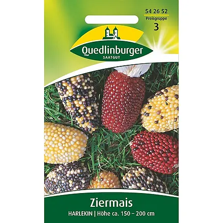 Quedlinburger SAATGUT Zier-Mais Harlekin