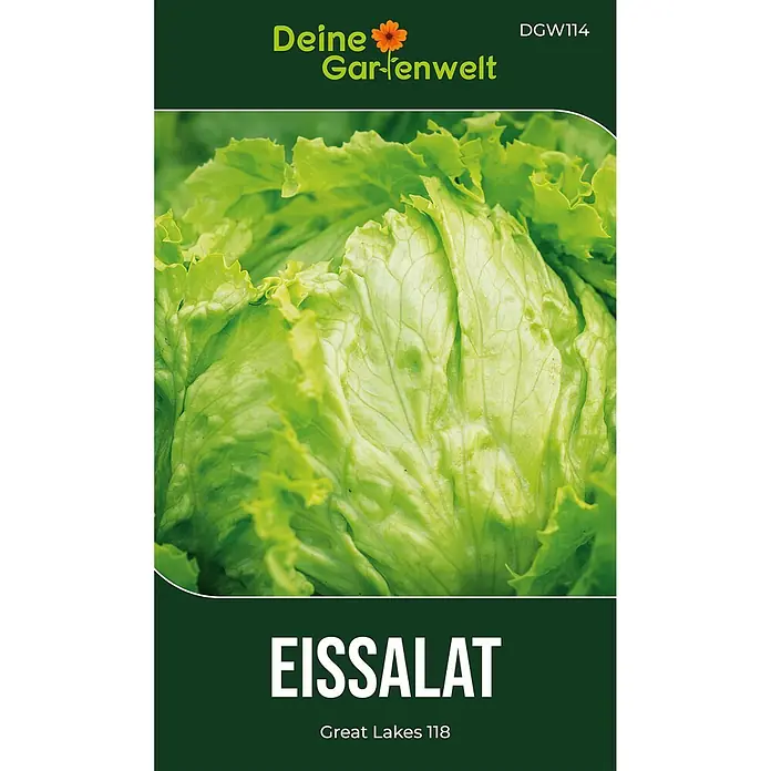 Deine Gartenwelt Eisbergsalat Great Lakes 118 -  - Samenpackung für Eissalat 'Great Lakes 118', mit frischem grünen Salatkopf.