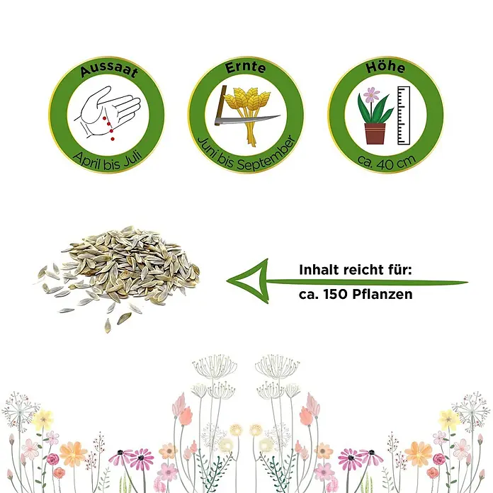 Deine Gartenwelt Eisbergsalat Great Lakes 118 -  - Samen mit Anweisungen: Aussaat April-Juli, Ernte Juni-Sept., Höhe ca. 40 cm, reicht für ca. 150 Pflanzen.