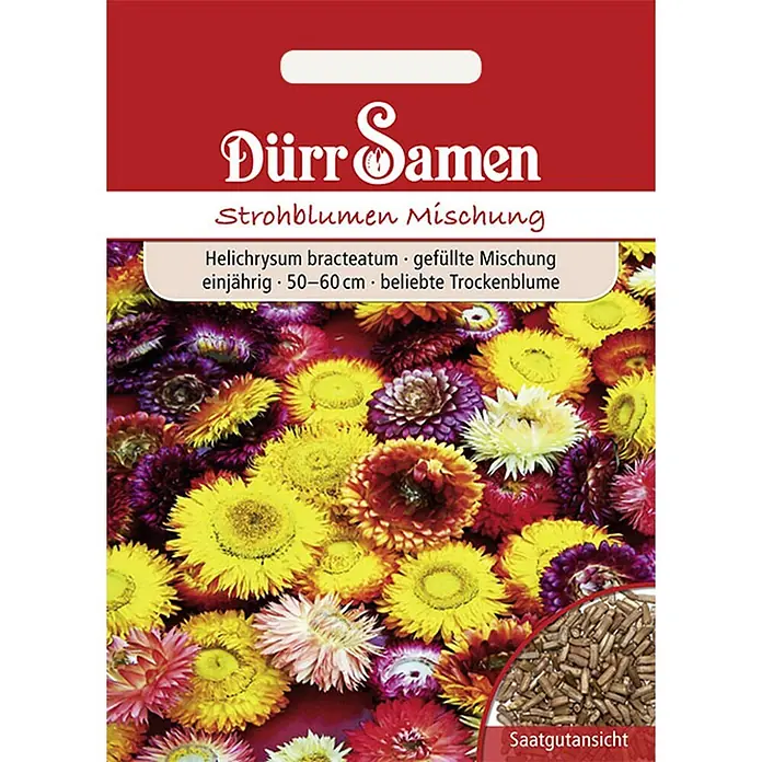 Dürr Samen Blumensamen Strohblume - Helichrysum bracteatum, Mehrfarbig - Rote Saatgutpackung Dürr Samen Strohblumen Mischung (Helichrysum bracteatum) mit bunten Blüten und Saatgutansicht.