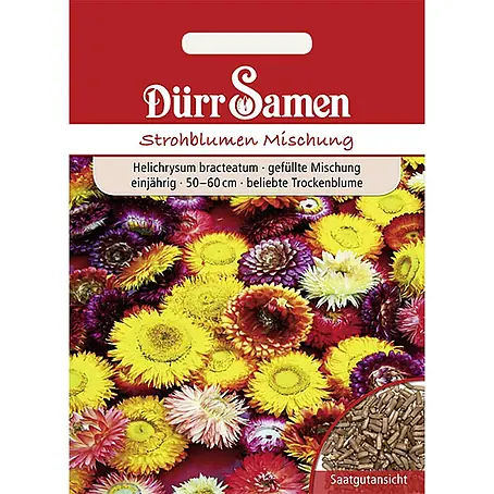 Dürr Samen  Blumensamen Strohblume