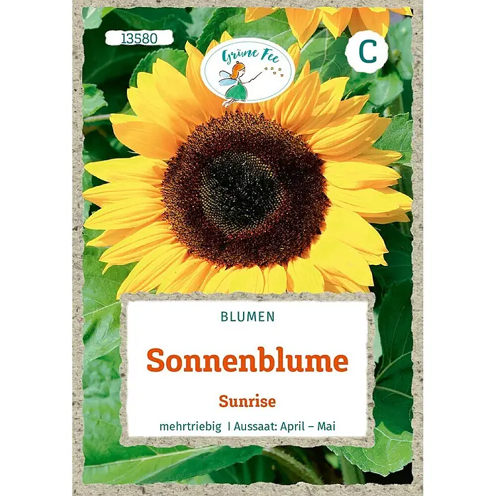 Grüne Fee Blumensamen Sonnenblume - Helianthus annuus, Goldgelb - Samenpackung für 'Sonnenblume Sunrise' Sonnenblumen, mit großer Blüte und Feen-Logo.