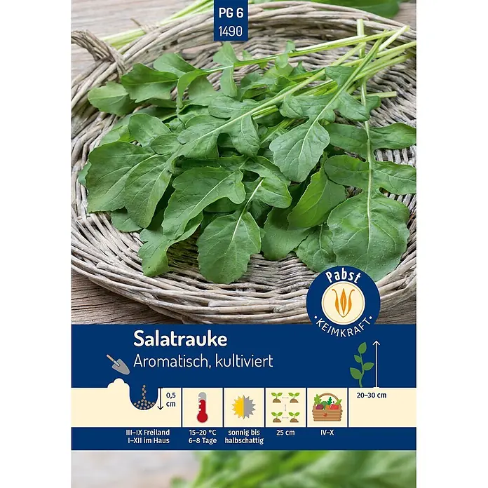 Pabst Keimkraft Salatsamen Salatrauke - Eruca sativa Mill., Erntezeit: Sortenabhängig, 0,8 g - Frische grüne Salatrauke in einem Weidenkorb.
