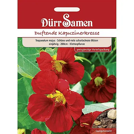 Dürr Samen Kapuzinerkresse rot rankend einjährig 200 cm
