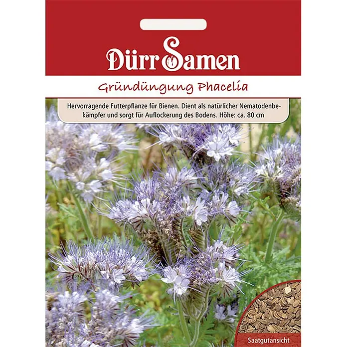 Dürr Samen Gründüngung Phacelia Büschelschön 400 g -  - Samenpackung für Phacelia-Gründüngung mit lila Blüten und Nahaufnahme der Samen.