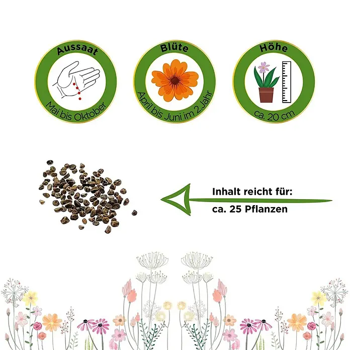 Deine Gartenwelt Wiesen-Schlüsselblume -  - Samen für ca. 25 Pflanzen. Aussaat Mai-Okt, Blüte April-Juni (2. Jahr), Höhe ca. 20 cm.