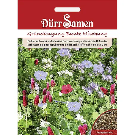 Dürr Samen  Gründüngung Gründüngungsmischung