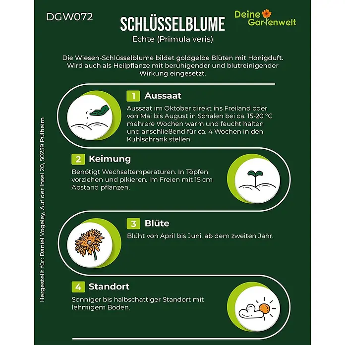 Deine Gartenwelt Wiesen-Schlüsselblume -  - Informationen zur Aussaat und Pflege der Echten Schlüsselblume (Primula veris) mit goldgelben Blüten, illustriert mit Anleitungen und Icons.