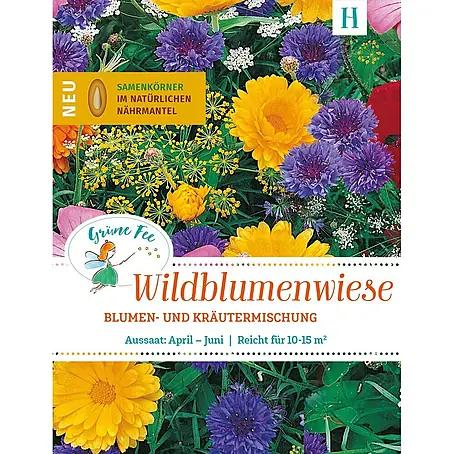 Grüne Fee  Wildblumensamen Streuschachtel