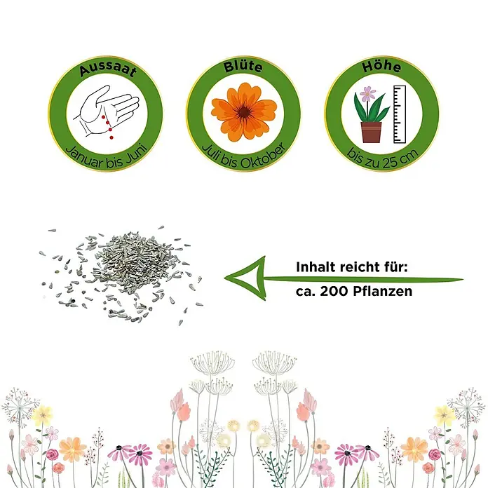 Deine Gartenwelt Australisches Gänseblümchen Blau -  - Samenpaket-Informationen: Aussaat Jan-Jun, Blüte Jul-Okt, Höhe bis 25cm. Inhalt reicht für ca. 200 Pflanzen.