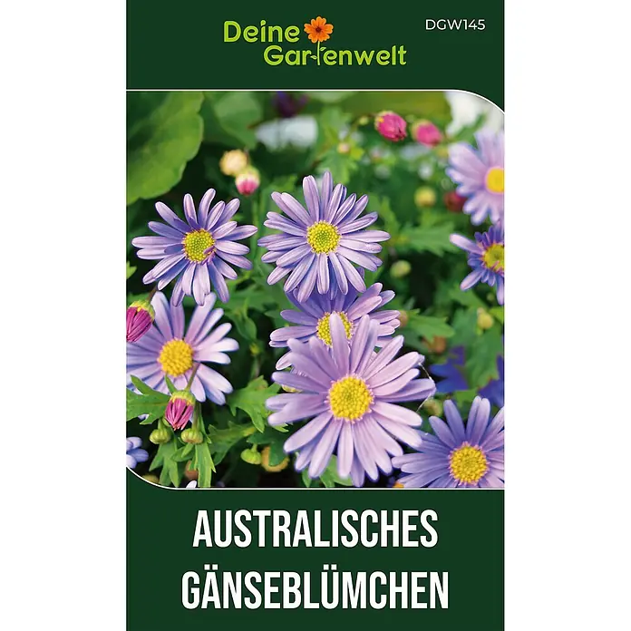 Deine Gartenwelt Australisches Gänseblümchen Blau -  - Samentüte für Australisches Gänseblümchen, mit hellvioletten Blüten, leuchtend gelben Mitten und rosa Knospen.
