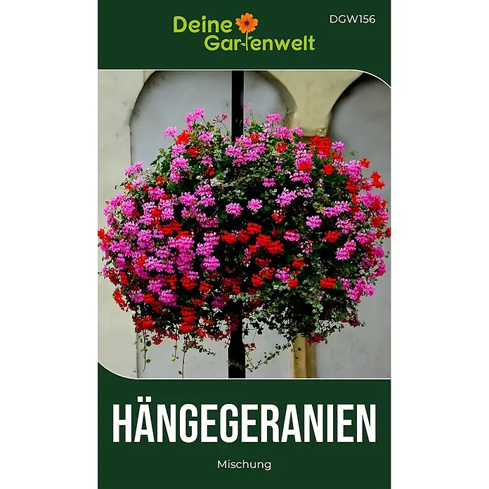 Deine Gartenwelt Hängegeranien Mischung -  - Hängekorb mit einer Mischung aus roten und rosafarbenen Geranien.
