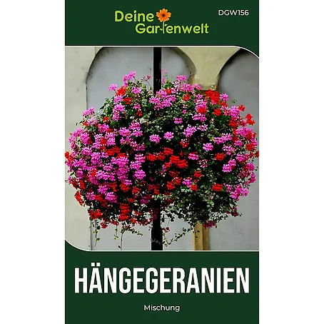 Deine Gartenwelt Hängegeranien Mischung