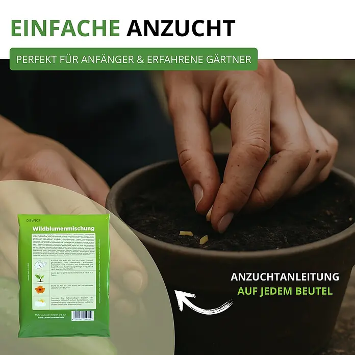 Deine Gartenwelt Wildblumensamen Mischung - 100 g, 100 m² - Grüner Wildblumen-Samenbeutel, teilweise sichtbar, während eine Person Samen in einen Topf pflanzt. Der Beutel enthält Anweisungen und Produktdetails.