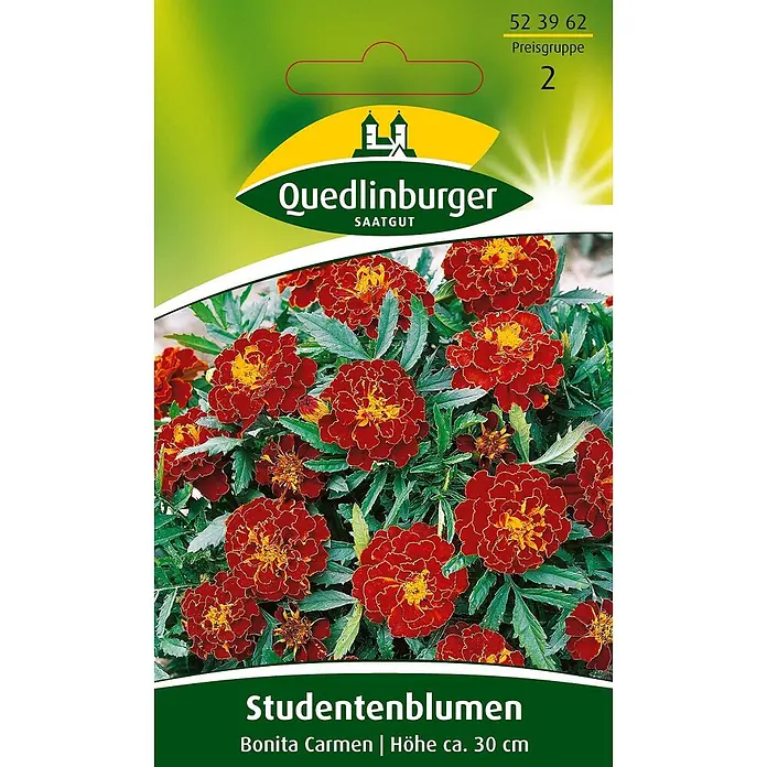 Quedlinburger SAATGUT Studentenblumen Bonita Carmen -  - Samentüte für Quedlinburger Studentenblumen 'Bonita Carmen' mit roten und gelben Blüten, Höhe ca. 30 cm.