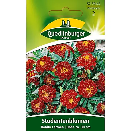 Quedlinburger SAATGUT Studentenblumen Bonita Carmen