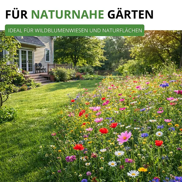 Deine Gartenwelt Wildblumensamen Mischung - 100 g, 100 m² - Lebendige Wildblumenwiese in einem Garten, ideal für naturnahe Gartengestaltung und Förderung der Artenvielfalt.
