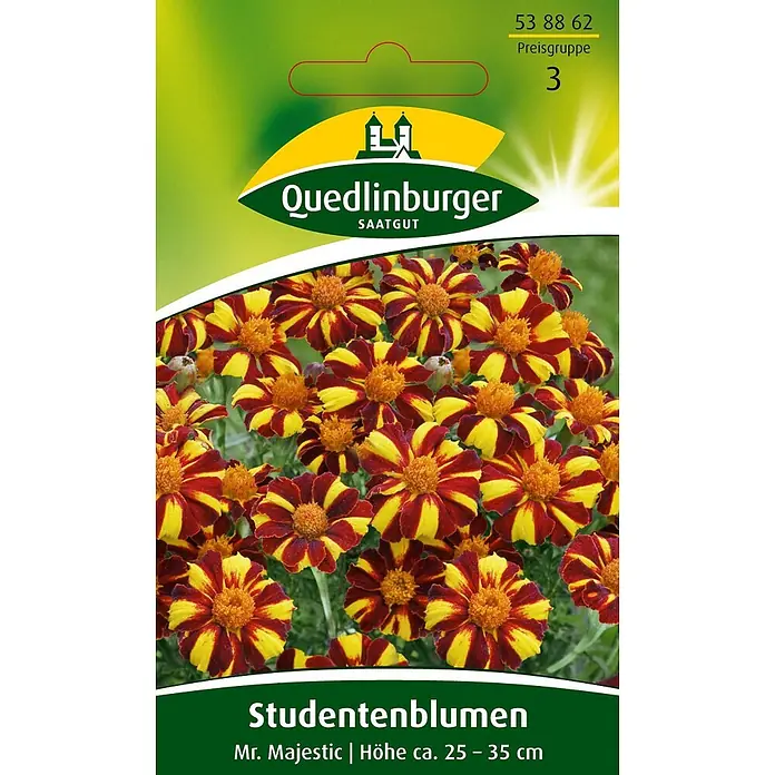 Quedlinburger SAATGUT Studentenblumen Mr. Majestic -  - Samenpackung 'Studentenblumen Mr. Majestic' mit lebendigen rot-gelb gestreiften Blüten.