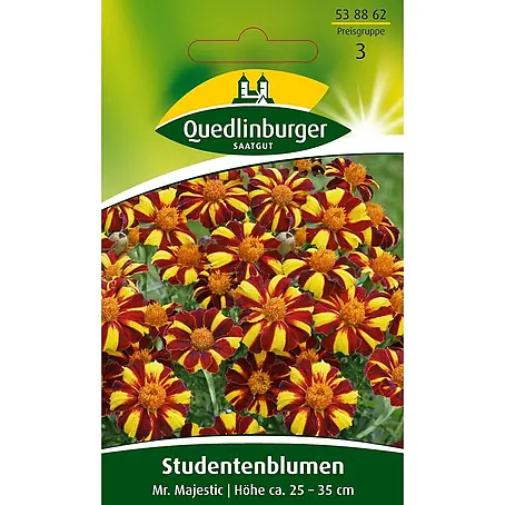 Quedlinburger SAATGUT Studentenblumen Mr. Majestic