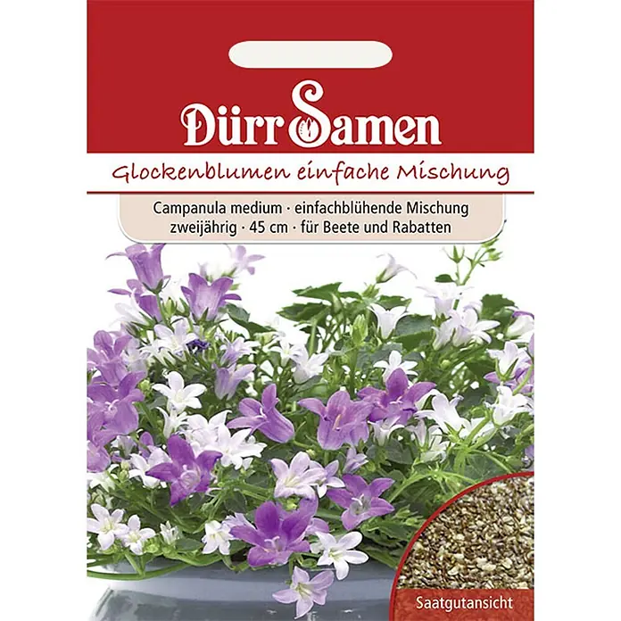 Dürr Samen Glockenblume einfache Mischung zweijährig 45 cm -  - Samenpäckchen von Dürr Samen mit lila-weißen Glockenblumen (Campanula medium) und einer Nahaufnahme der Samen.