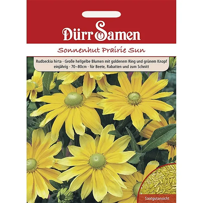Dürr Samen Blumensamen Sonnenhut - Rudbeckia hirta, Gelb - Samentüte für Rudbeckia hirta 'Prairie Sun' mit hellgelben Blüten und grünem Knopf sowie einer Ansicht der Samen.
