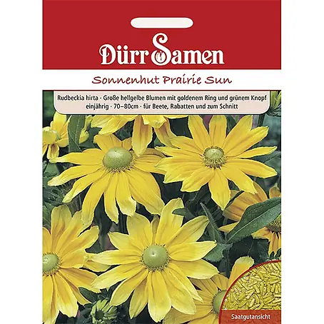 Dürr Samen  Blumensamen Sonnenhut