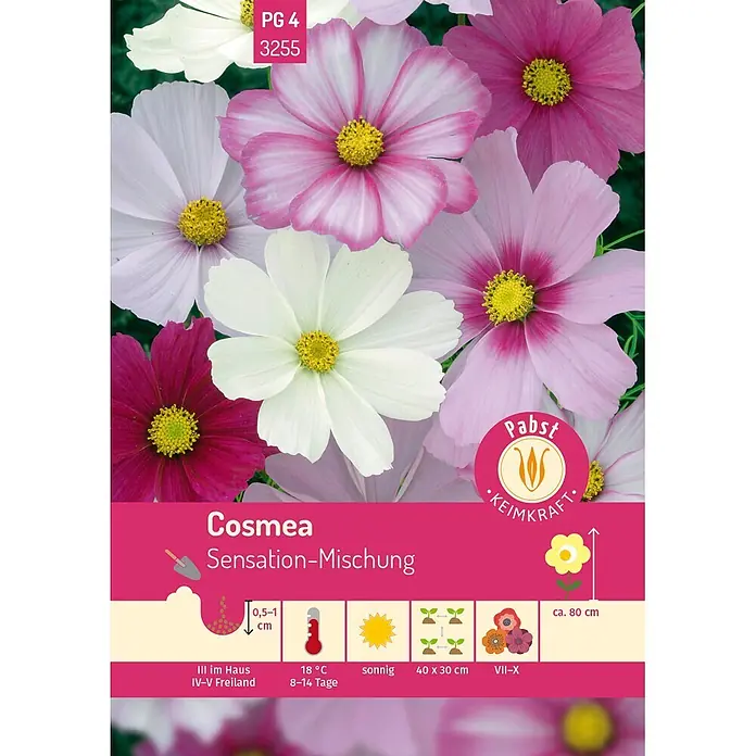 Pabst Keimkraft Cosmea Sensation-Mischung -  - Bunte Cosmea Sensation-Mischung Blüten, eine lebhafte Samenmischung, mit kompletter Pflanz- und Pflegeanleitung.
