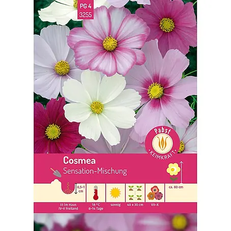 Pabst Keimkraft Cosmea Sensation-Mischung