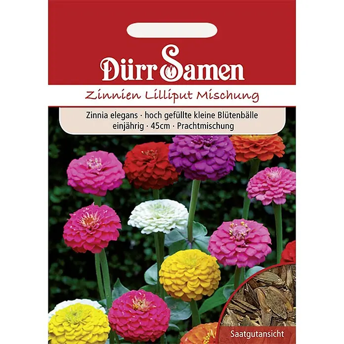 Dürr Samen Zinnien Lilliput Prachtmischung einjährig 45 cm -  - Rotes Dürr Samen Samentütchen für Zinnien Lilliput Mischung, zeigt farbenfrohe Zinnienblüten und Saatgut.