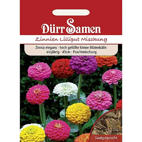 Dürr Samen Zinnien Lilliput Prachtmischung einjährig 45 cm