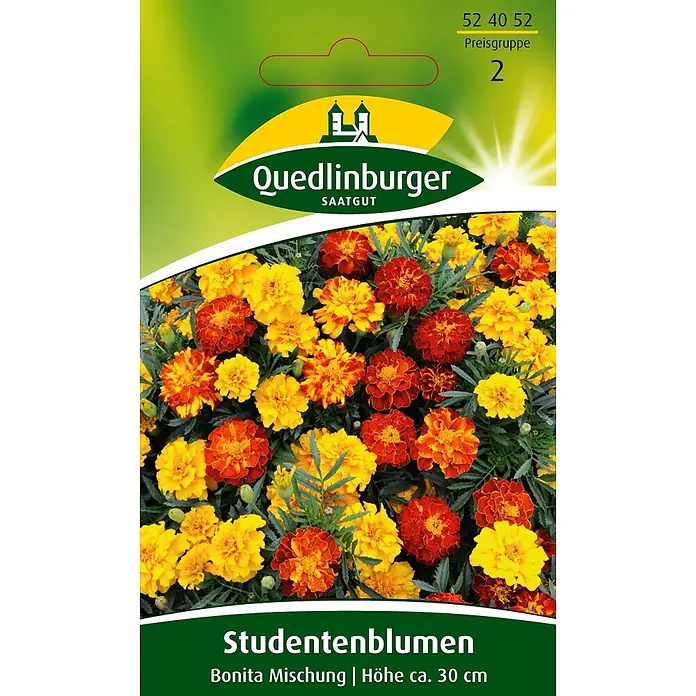 Quedlinburger SAATGUT Blumensamen Studentenblume - Tagetes patula nana, Mehrfarbig - Samentüte Quedlinburger Studentenblumen Bonita Mischung mit gelben und rot-orangefarbenen Blüten, Höhe ca. 30 cm.