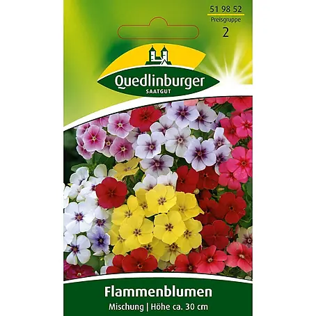 Quedlinburger SAATGUT Flammenblume Phlox Mischung