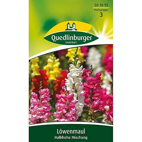 Quedlinburger SAATGUT  Blumensamen Löwenmaul