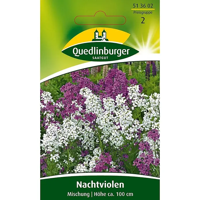 Quedlinburger SAATGUT Nachtviole Mischung -  - Samenpackung Quedlinburger Nachtviolen, Mischung mit weißen und violetten Blüten.