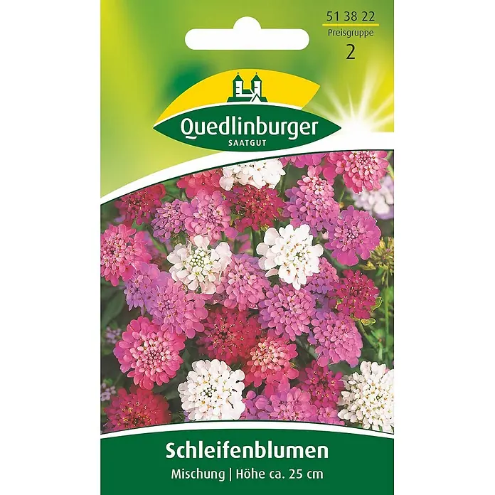 Quedlinburger SAATGUT Schleifenblume Mischung -  - Samenpäckchen für Quedlinburger Schleifenblumen-Mischung mit leuchtend pinken, magentafarbenen und weißen Blüten.