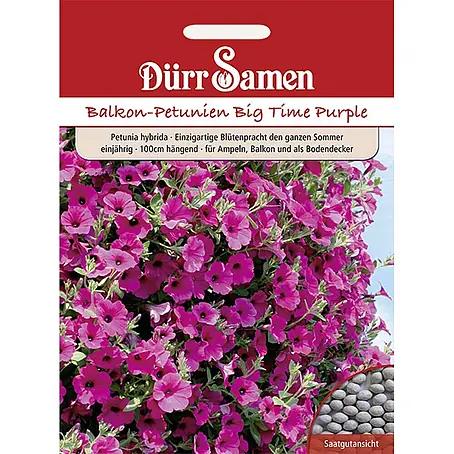 Dürr Samen  Blumensamen Petunie