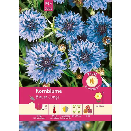 Pabst Keimkraft  Blumensamen Kornblume