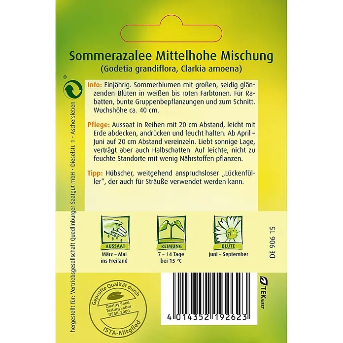 Quedlinburger SAATGUT Sommerazalee -  - Samentüte für Sommerazalee Mittelhohe Mischung (Godetia/Clarkia) mit Anbauinformationen.