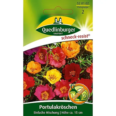 Quedlinburger SAATGUT  Blumensamen Portulak