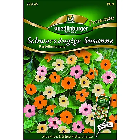 Quedlinburger SAATGUT  Blumensamen Schwarzäugige Susanne
