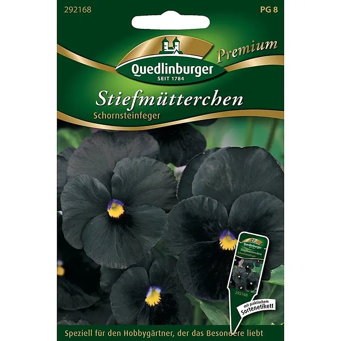 Quedlinburger SAATGUT Stiefmütterchen Schornsteinfeger -  - Samentüte für schwarze 'Schornsteinfeger' Stiefmütterchen, mit dunkelviolett-schwarzen Blüten und gelber Mitte.