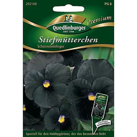 Quedlinburger SAATGUT Stiefmütterchen Schornsteinfeger