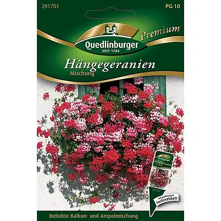 Quedlinburger SAATGUT Hänge-Geranien Mischung