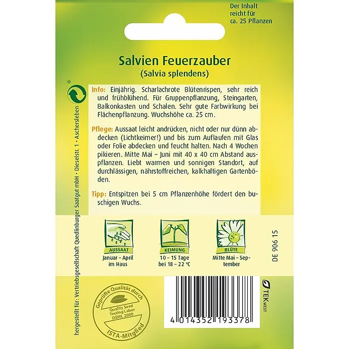 Quedlinburger SAATGUT Salvie Feuerzauber -  - Samenpackung für 'Salvien Feuerzauber' (Salvia splendens) mit Pflanzanleitung, Pflegetipps und Blühinformationen.