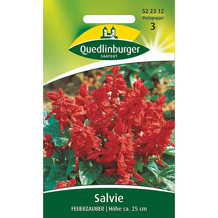 Quedlinburger SAATGUT Salvie Feuerzauber -  - Samentüte Quedlinburger Salvia 'Feuerzauber' mit roten Blüten.