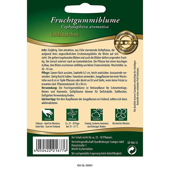 Quedlinburger SAATGUT Blumensamen Fruchtgummiblume - Cephalophora aromatica, Gelb - Samentüte für Fruchtgummiblume (Goldköpfchen) mit Produktinfos, Pflanzanleitung und Barcode.