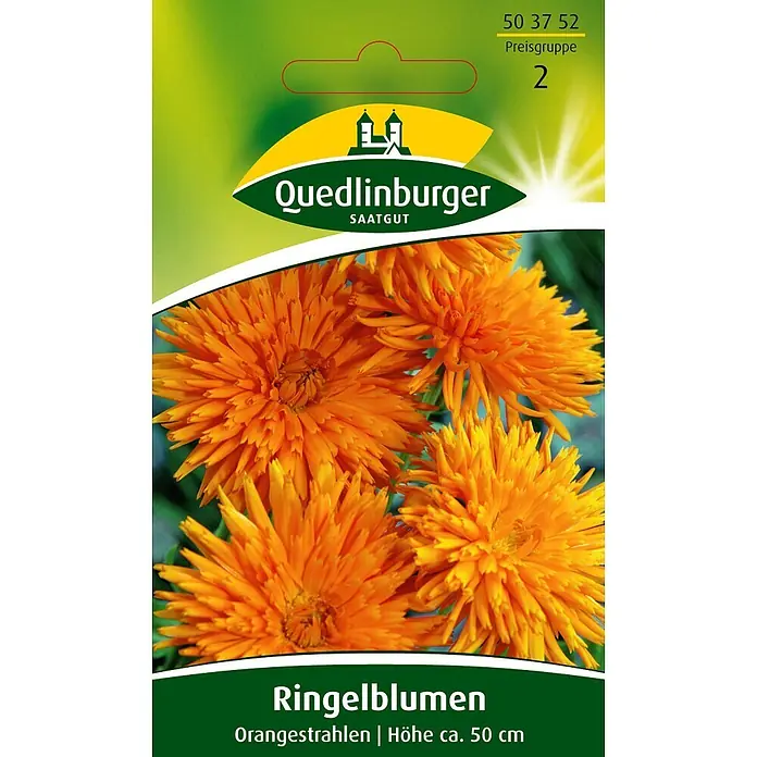 Quedlinburger SAATGUT Blumensamen Ringelblume - Calendula officinalis, Orange - Samentüte für orange Ringelblumen der Sorte 'Orangestrahlen', Höhe ca. 50 cm.