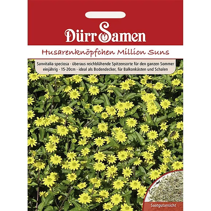 Dürr Samen Blumensamen Husarenknöpfchen - Sanvitalia speciosa, Gelb - Samentüte für Dürr Samen Husarenknöpfchen Million Suns, mit leuchtend gelben Blüten und Saatgutansicht.
