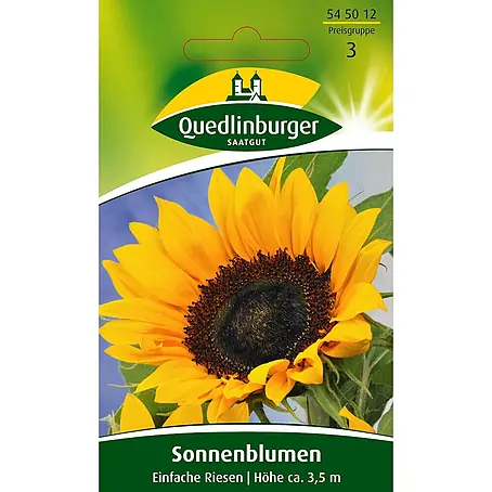 Quedlinburger SAATGUT  Blumensamen Sonnenblume